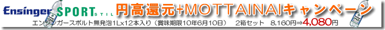 エンジンガー50%OFF