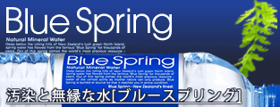ブルースプリング