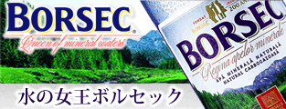 ボルセック