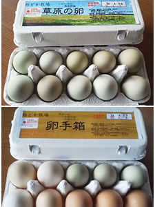 のどか牧場　国産飼料100%棚田放し飼い卵
