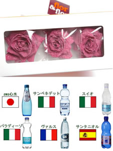 �ե���&�ե����Х�3�ء�ȯˢ��500mlx12�ܥ��å�