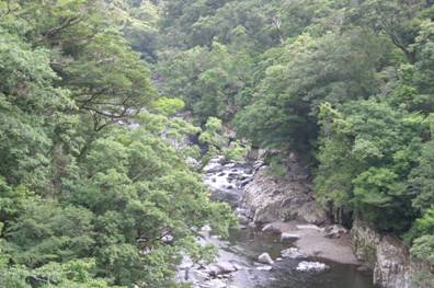 綾川の渓谷　（写真提供：綾町役場）