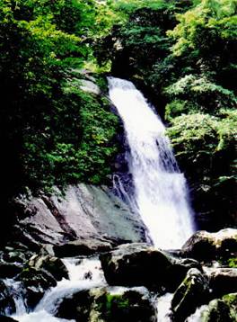 竹田湧水郡 たけたゆうすいぐん 名水百選 名水のある風景 水広場