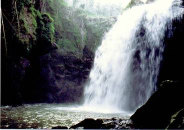 竹田湧水郡 たけたゆうすいぐん 名水百選 名水のある風景 水広場