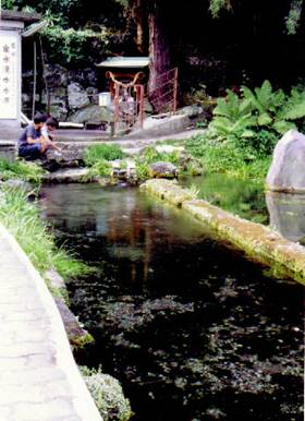 竹田湧水郡 たけたゆうすいぐん 名水百選 名水のある風景 水広場