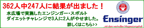 エンジンガーはこちら