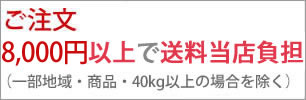 5,500円以上お買い上げで送料無料