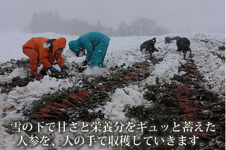 さるふつ工場