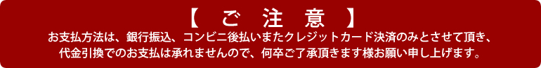 代引きは対応できかねます。