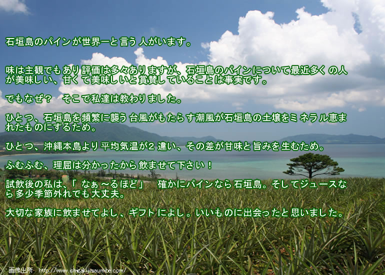 プレミアム有機パインジュース