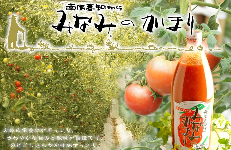 高知トマト
