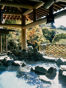 Kawaura Hot Spring, Yamagata-kan　10L